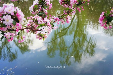 DSC07255 版权