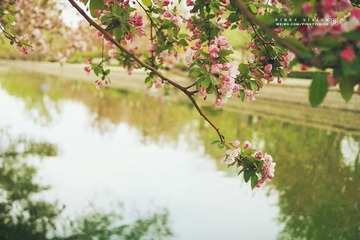 DSC07105 版权