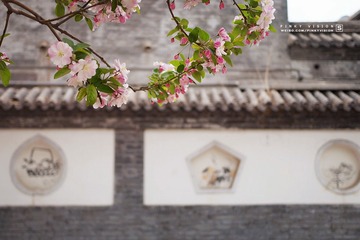 DSC07112 版权