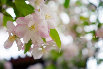 DSC07129 版权