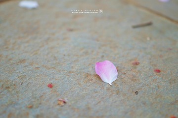 DSC07137 版权