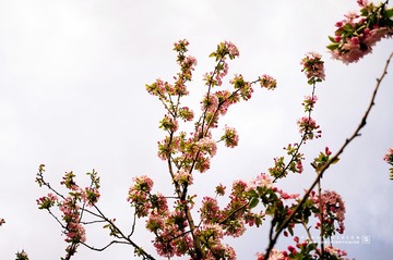 DSC07187 版权