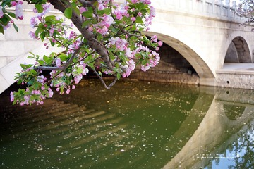 DSC07281 版权