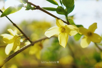 DSC07033 版权