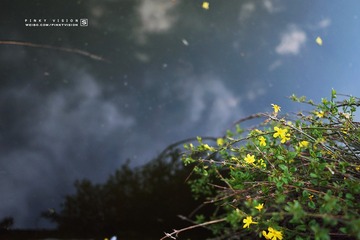 DSC07394 版权