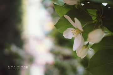 DSC07008 版权