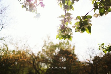 DSC07012 版权