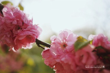 DSC07039 版权