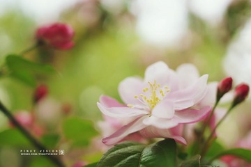 DSC07065 版权