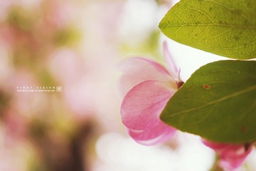 DSC07081 版权