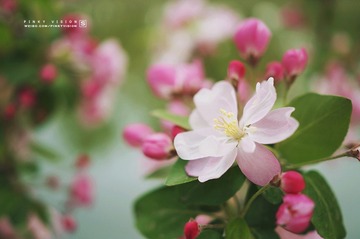 DSC07103 版权