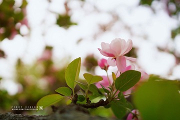 DSC07109 版权