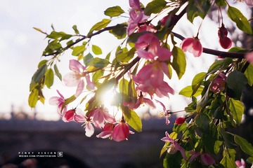 DSC07296 版权