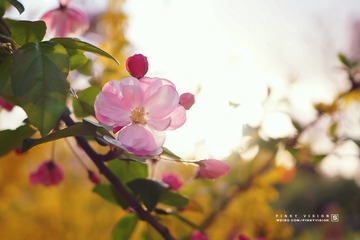 DSC07349 版权