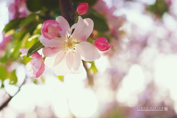 DSC07361 版权