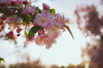 DSC07363 版权