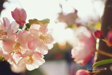 DSC07372 版权