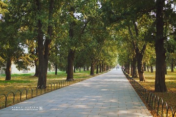 DSC07479 版权