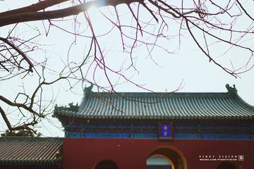 DSC07576 版权