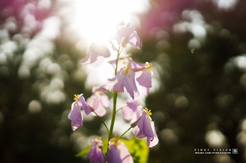DSC07512 版权