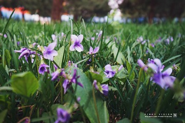 DSC07829 版权