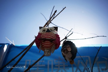 DSC01229 版权