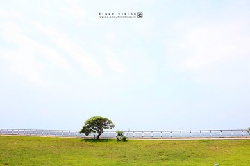 3 IMG_3780 版权