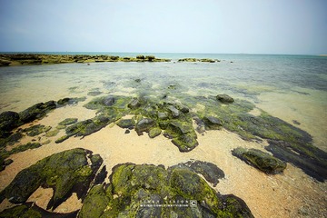 4 IMG_3365 版权