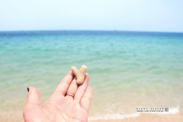 4 IMG_3818 版权