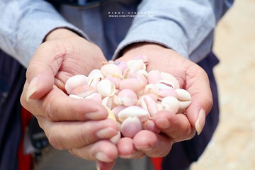 4 IMG_3823 版权