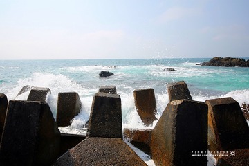 6 IMG_3423 版权