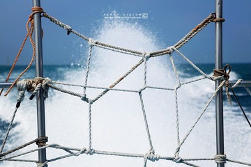 6 IMG_3932 版权