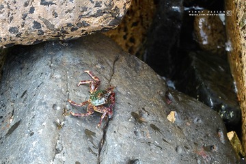 6 IMG_3982 版权