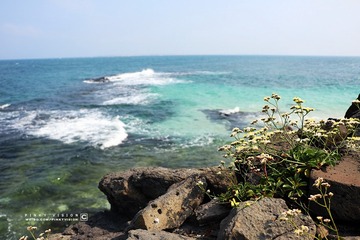 6 IMG_3991 版权