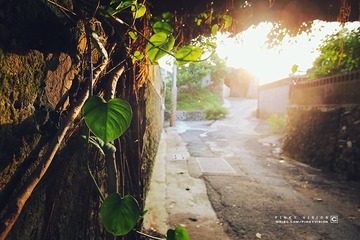 10 IMG_3565 版权