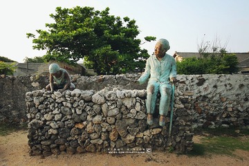 10 IMG_3576 版权