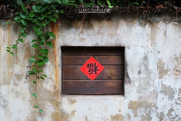 10 IMG_4055 版权