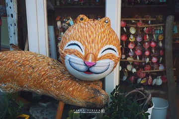 11 IMG_4091 版权