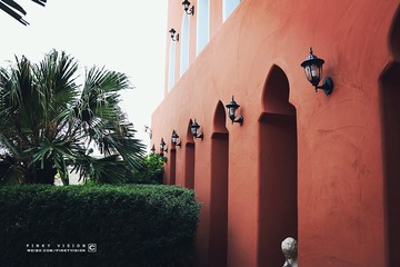 1 IMG_3703 版权