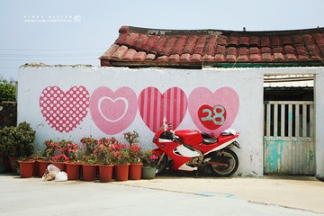 4 IMG_4246 版权