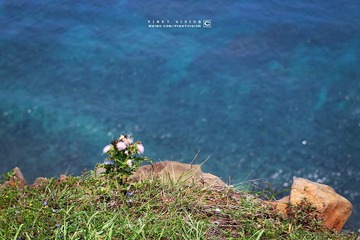4 IMG_4296 版权