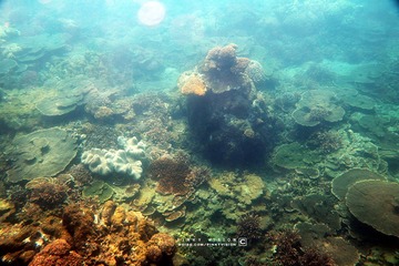 7 IMG_4575 版权