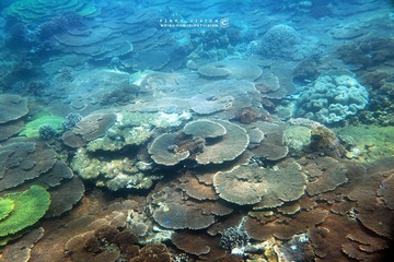 7 IMG_4643 版权