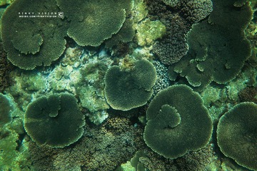 7 IMG_4672 版权