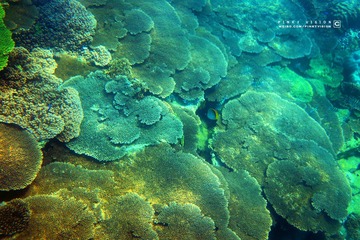 7 IMG_4695 版权