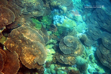 7 IMG_4702 版权
