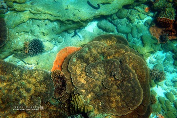 7 IMG_4713 版权