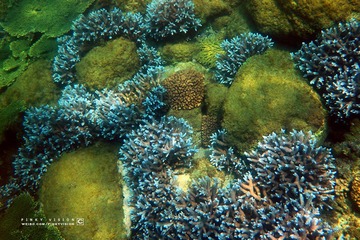7 IMG_4761 版权