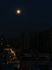 AE74D898-2618-4E14-A6F5-026DC9F76BDF/L0/001