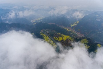 DJI_0174